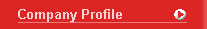 Company Profile